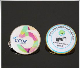 天河金色胸章,設(shè)計訂做鍍金胸徽批發(fā)設(shè)計制作廠