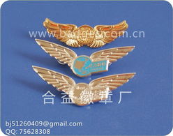 金屬徽章 鍍金徽章 鍍銀徽章 胸章產品大圖 合益徽章廠北京分公司