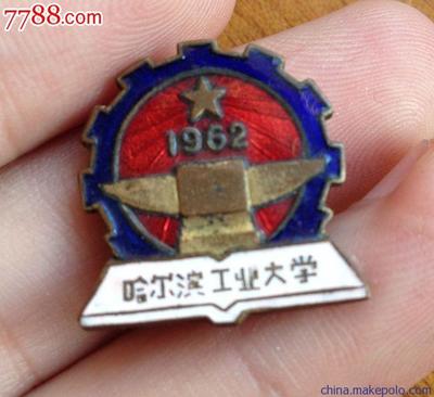 廣州市天錄雪工藝品 陜西校服徽章與廠服胸章圖片大全