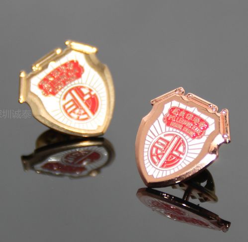 浙江技術學校徽章制作與定制廠家指南 打造獨特校園標識